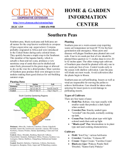 Southern Peas - Clemson University
