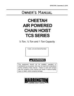 cheetah air powered chain hoist tcs series