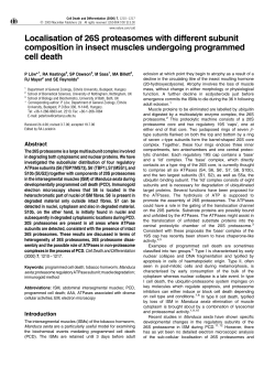 Localisation of 26S proteasomes with different subunit