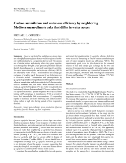 Carbon assimilation and water-use efficiency by