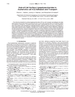 Role of Cell Surface Lipopolysaccharides in Escherichia coli K12