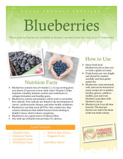 Blueberries - Farmers` Markets of Nova Scotia