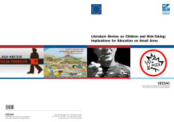 SEESAC Literature Review on Children and Risk