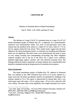 CHAPTER 287 Influence of Nearshore Berm on Beach