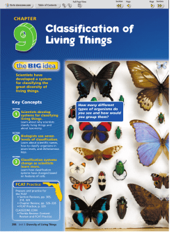 Classification of Living Things