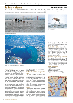 Fujimae-higata