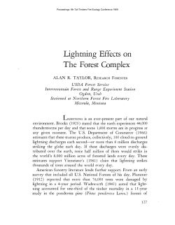 Lightning Effects on The Forest Complex