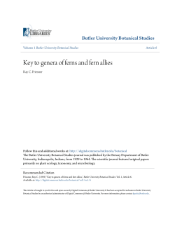 Key to genera of ferns and fern allies