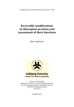 Reversible modifications of chloroplast proteins and
