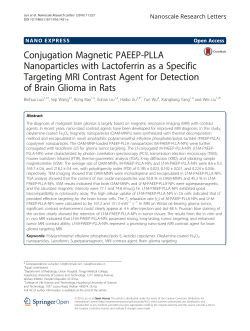 Conjugation Magnetic PAEEP-PLLA Nanoparticles with Lactoferrin