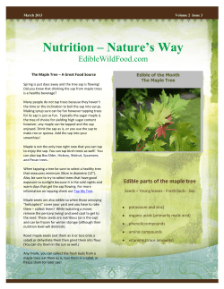 Nutrition &ndash; Nature`s Way