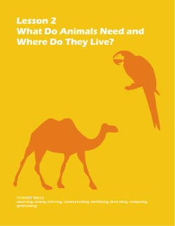 Lesson 2 What Do Animals Need and Where Do They Live?