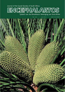 encephalartos - University of Pretoria