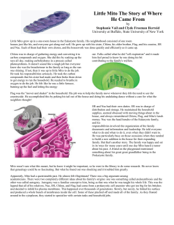 Little Mito The Story of Where He Came From