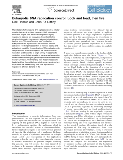 Eukaryotic DNA replication control: Lock and load, then fire