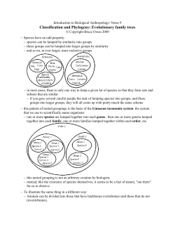 Classification and Phylogeny: Evolutionary family trees