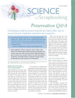 How to Prevent Mold in Photo Albums