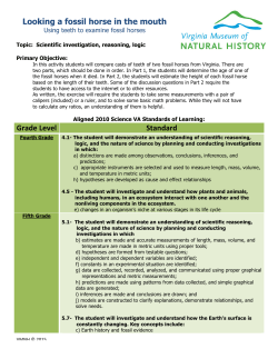 Looking a Fossil Horse in the Mouth