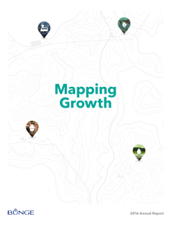 PDF Annual report