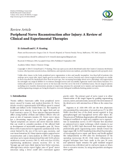 Peripheral Nerve Reconstruction after Injury: A Review of Clinical