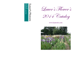 Lauer`s Flower`s 2014 Catalog