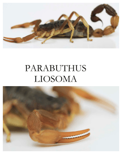 Attachment 419529 - 4x4 Community Forum