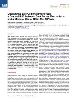 Quantitative Live Cell Imaging Reveals a Gradual Shift