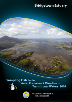 Bridgetown estuary report 2009