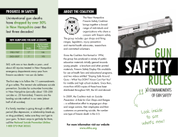 Gun Safety