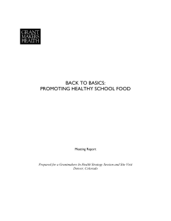 Back to Basics: Promoting Healthy School Food
