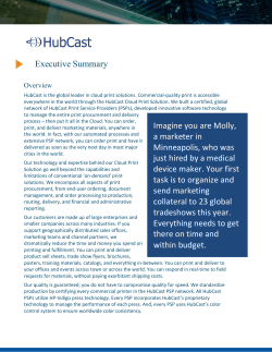 Executive Summary Imagine you are Molly, a marketer in
