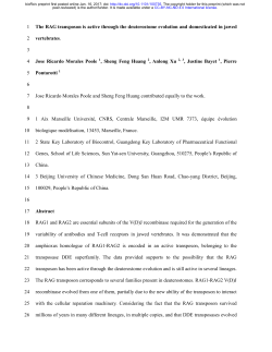 The RAG transposon is active through the deuterostome