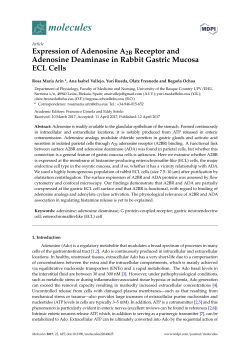 Full-Text PDF