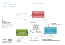 M1 Chart System of Checks and Balances in the