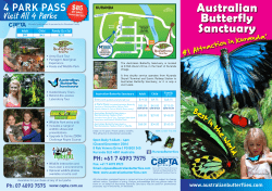 Australian Butterfly Sanctuary