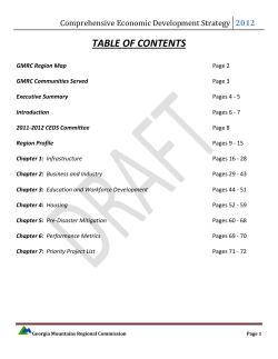 Comprehensive Economic Development Strategy