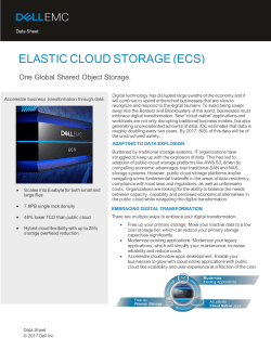 elastic cloud storage (ecs)