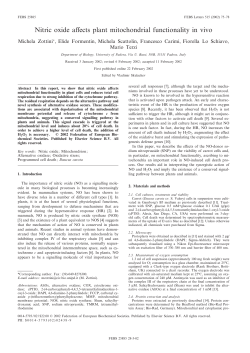 Nitric oxide affects plant mitochondrial functionality in vivo