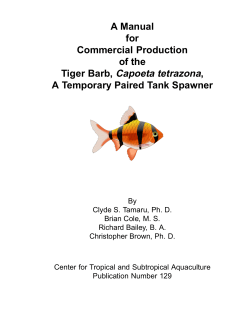 A Manual for Commercial Production of the Tiger Barb, Capoeta