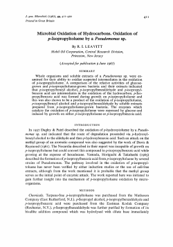 Microbial Oxidation of Hydrocarbons. Oxidation of p