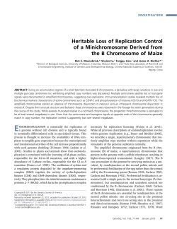 Heritable Loss of Replication Control of a
