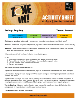 Summer of Learning Activities: Animals Stay Dry