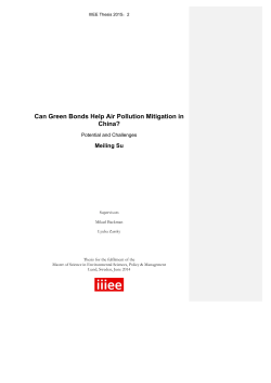 Can Green Bonds Help Air Pollution Mitigation in China?