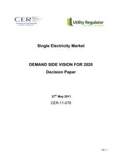 Demand Side Vision for 2020 - Commission for Energy Regulation