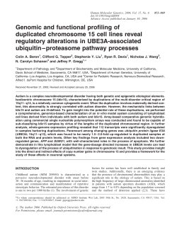 Genomic and functional profiling of duplicated chromosome 15 cell