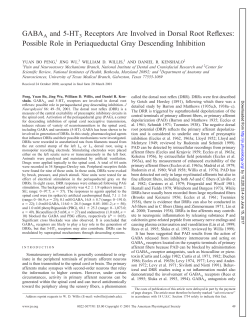 GABAA and 5-HT3 Receptors Are Involved in Dorsal Root Reflexes