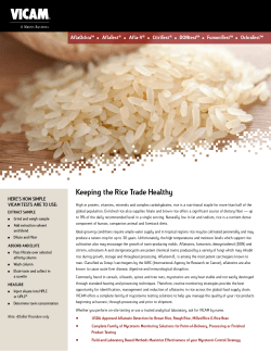 Keeping the Rice Trade Healthy