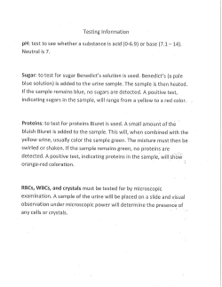 Testing Information blue solution) is added to the urine sample. The
