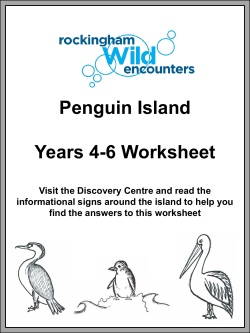 Penguin Island Years 4