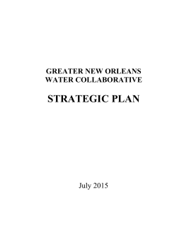 GNOWC Strategic Plan &ndash; July 2015